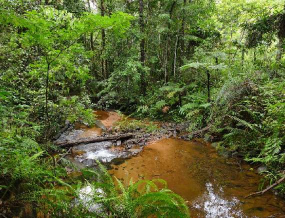 Wilpattu Nationalpark